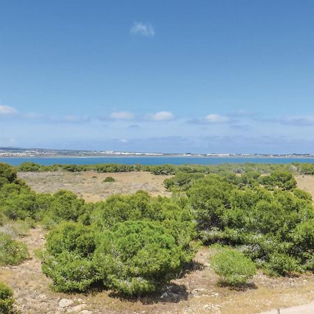 Amazing Apartment In Torrevieja With Kitchen Dış mekan fotoğraf