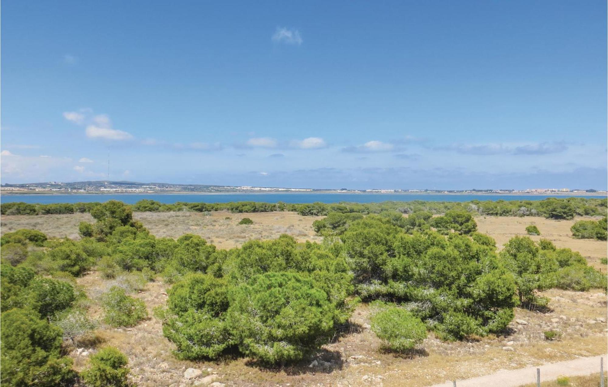 Amazing Apartment In Torrevieja With Kitchen Dış mekan fotoğraf